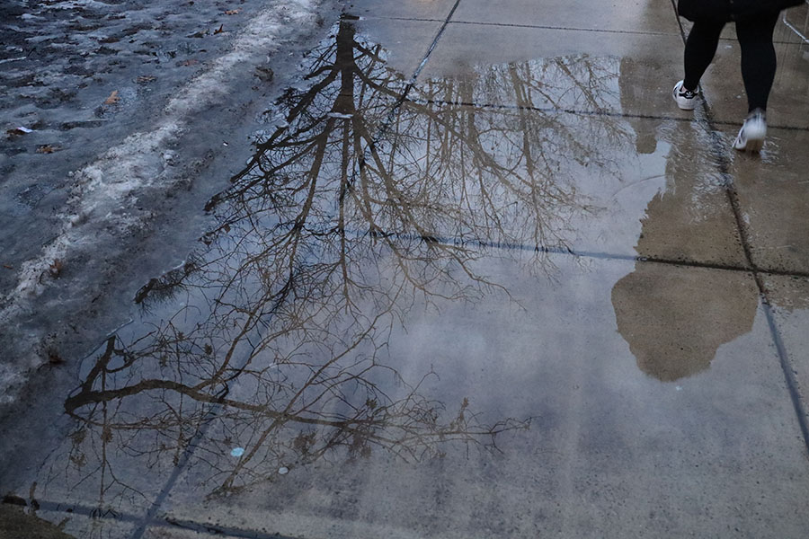 Reflected Trees in Winter Puddle with passing pedestrian feet.